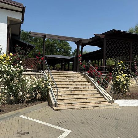 Hotel Ciric Iasi Exterior foto