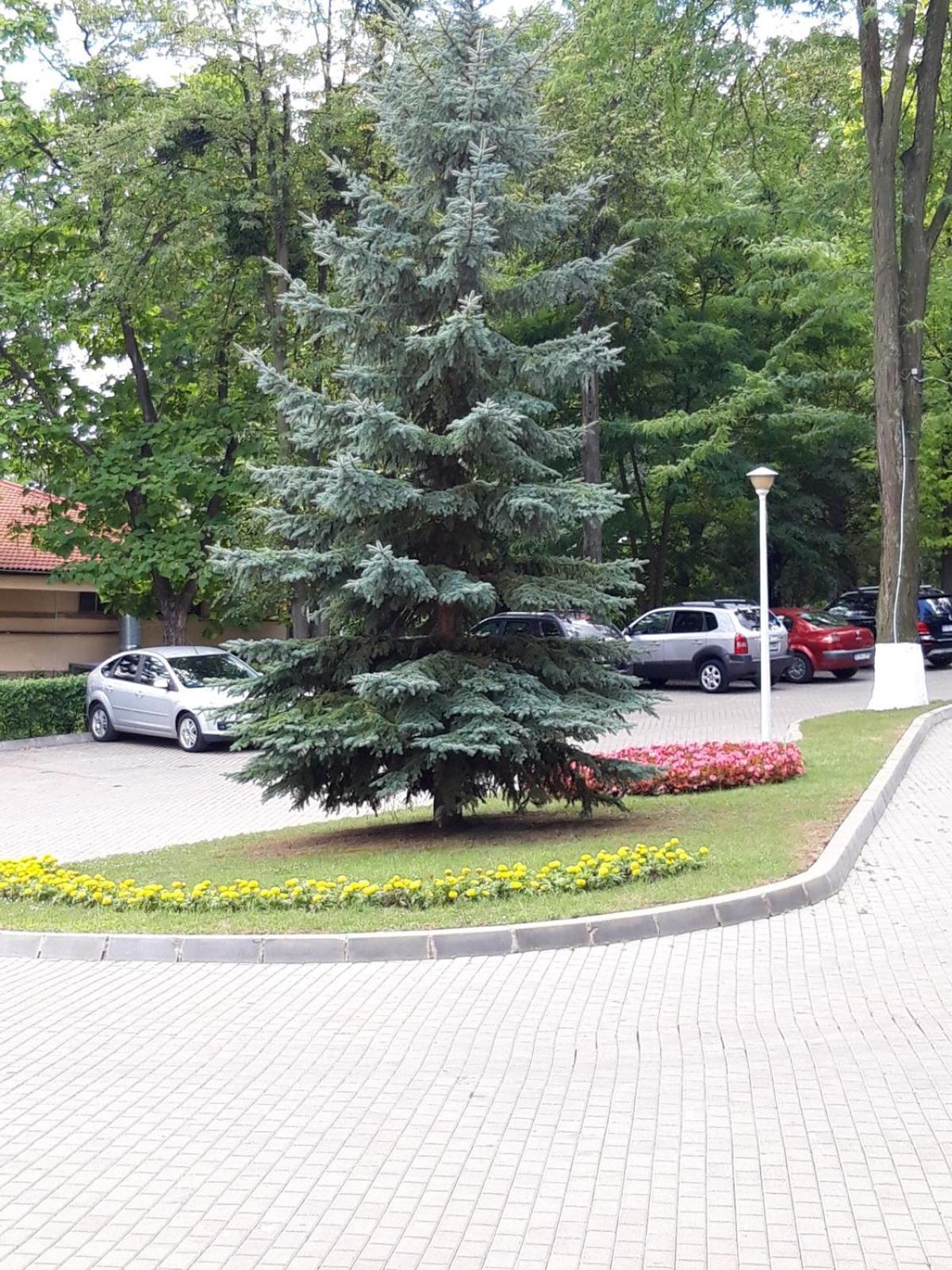 Hotel Ciric Iasi Exterior foto