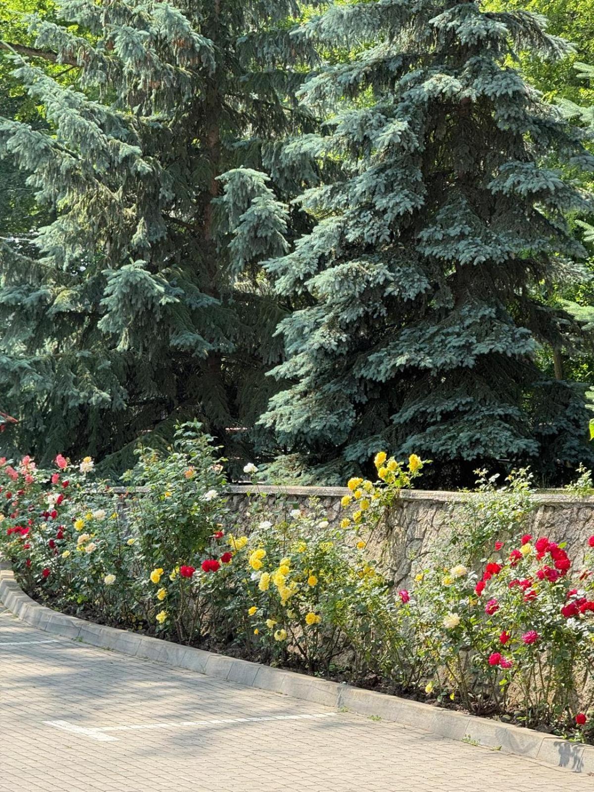 Hotel Ciric Iasi Exterior foto