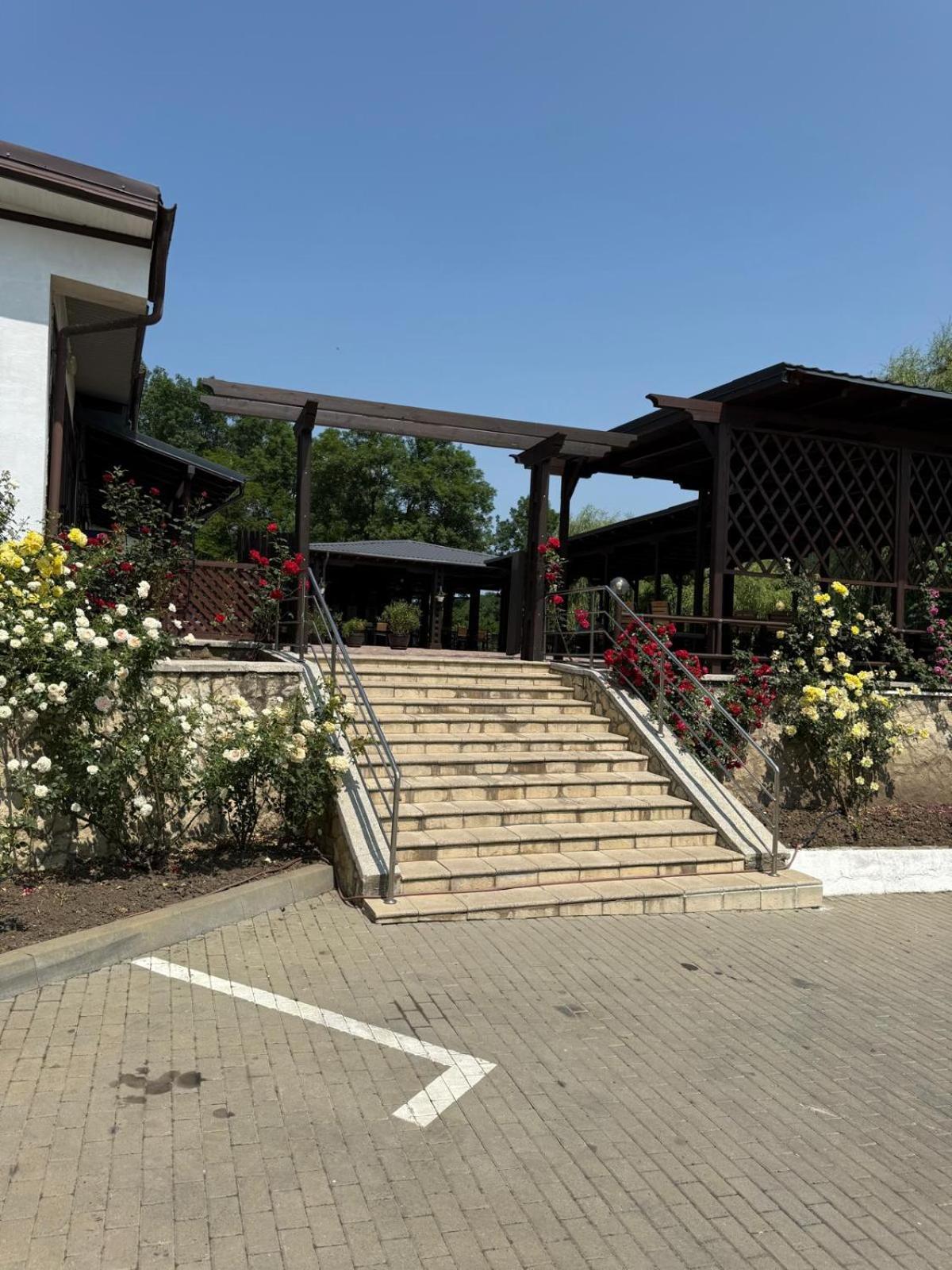 Hotel Ciric Iasi Exterior foto