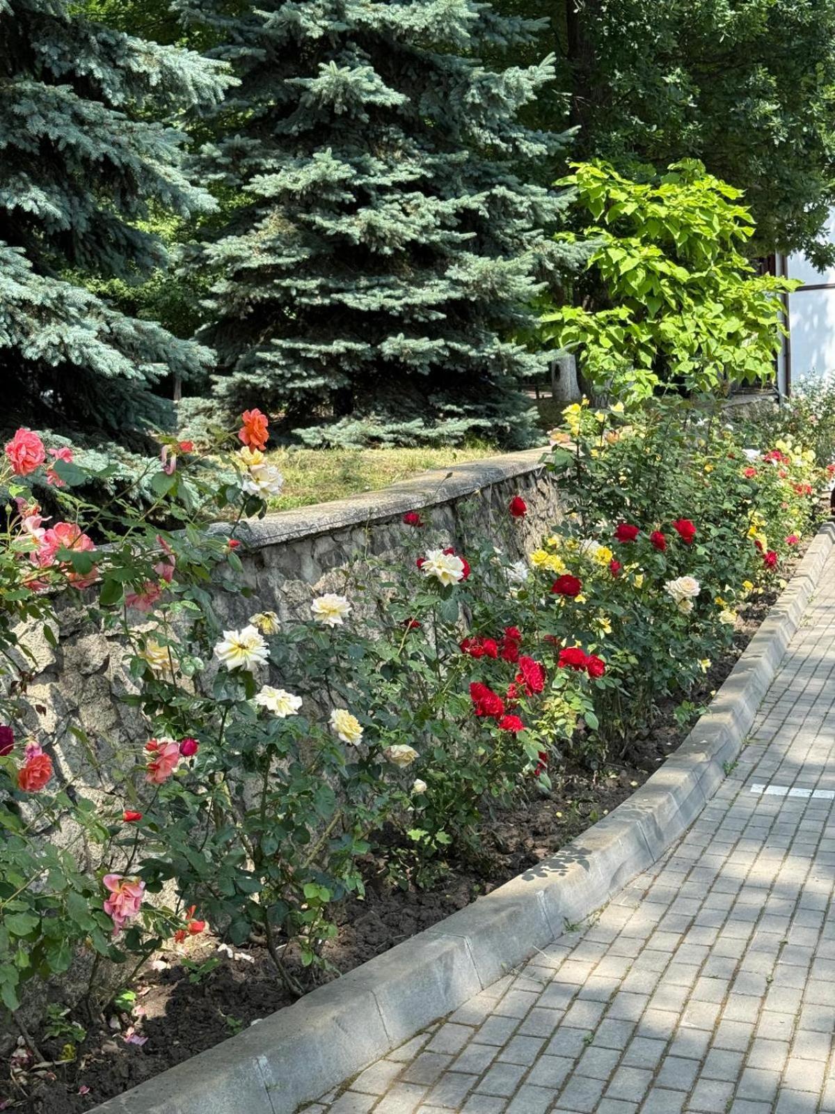 Hotel Ciric Iasi Exterior foto