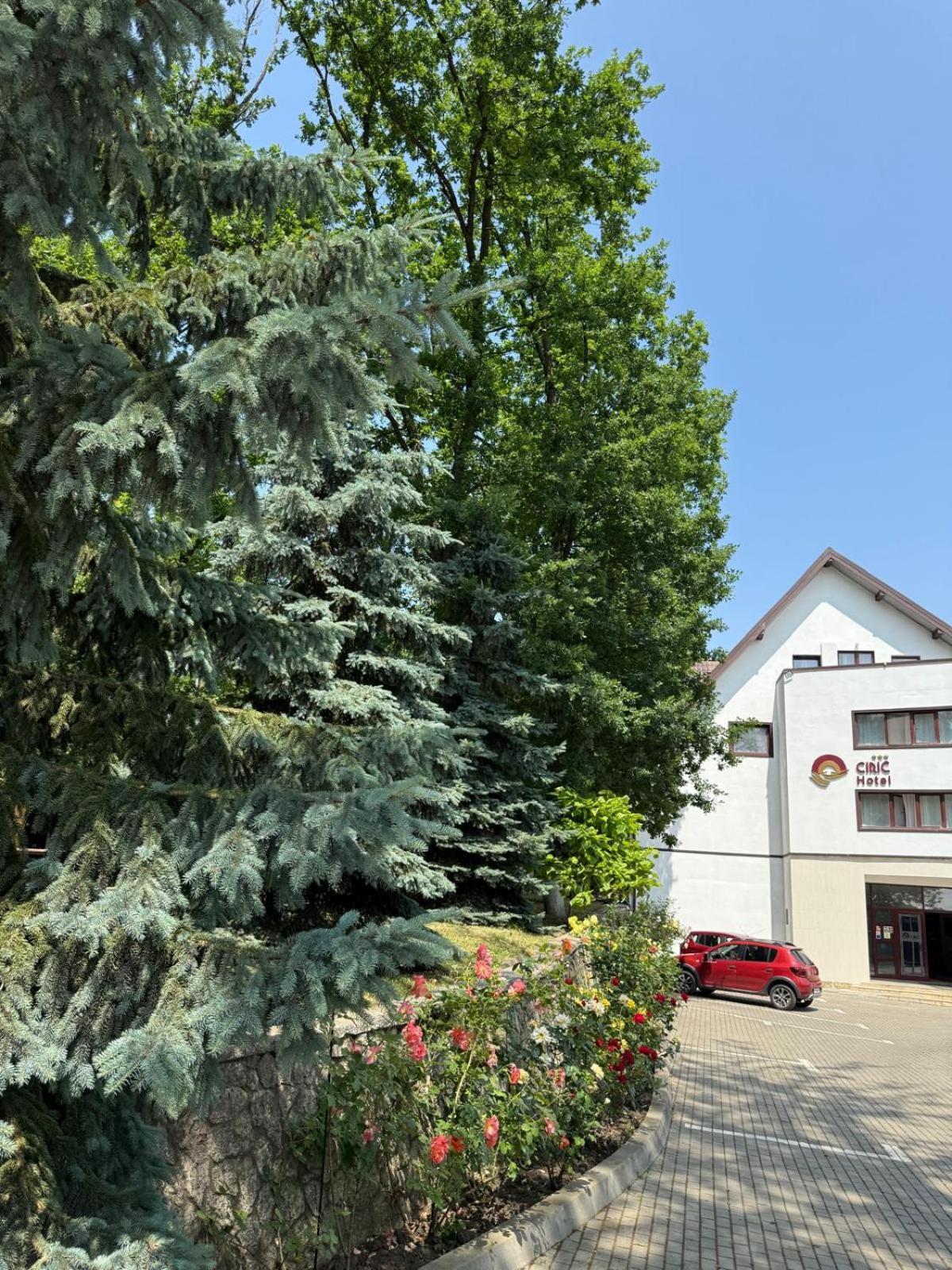 Hotel Ciric Iasi Exterior foto