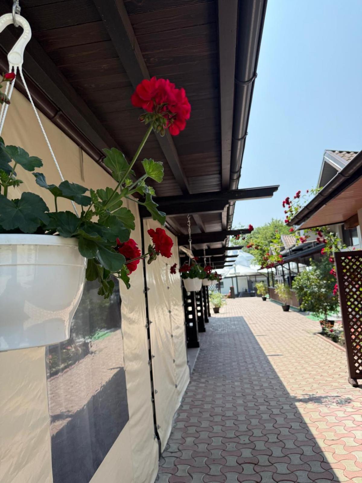 Hotel Ciric Iasi Exterior foto